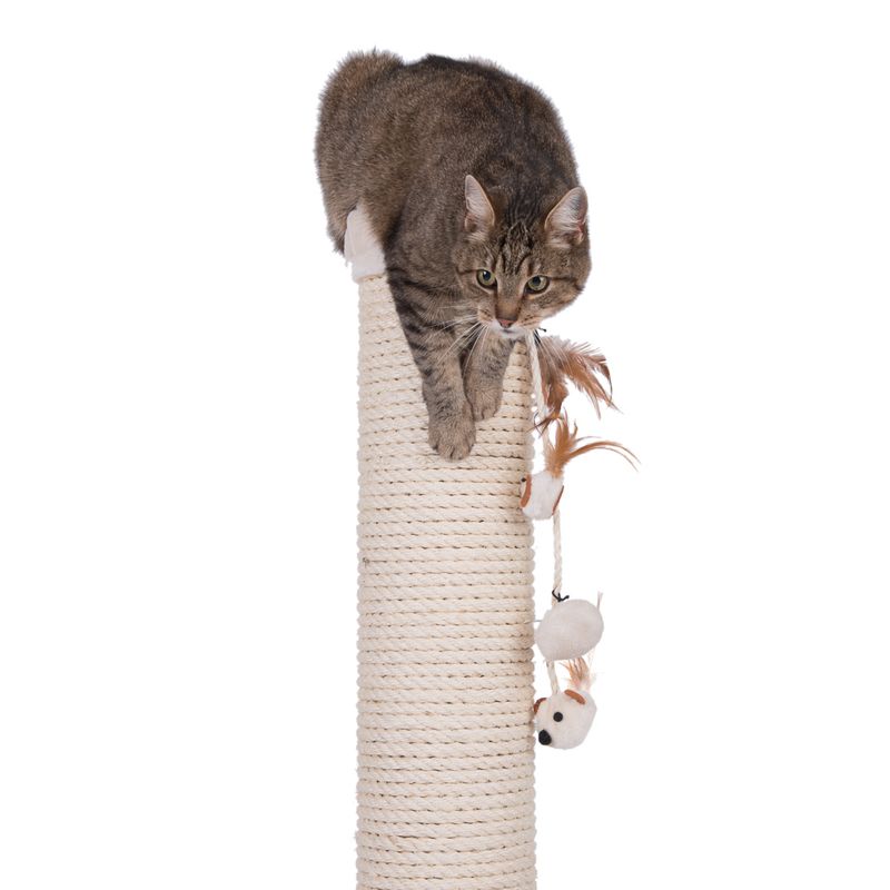 XXL Scratching Post Premium cream