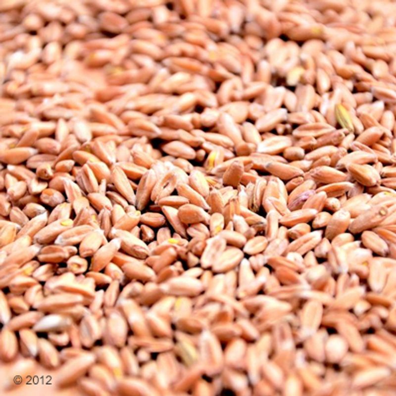 Aumüller True Love Mini Pillow 1 pillow