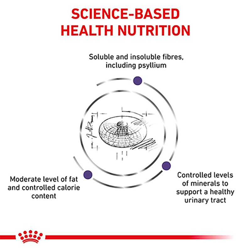 Royal Canin Expert - Neutered Adult Small Dog 3.5kg