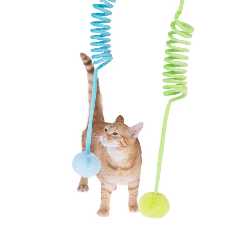 zooplus Basics Spiral Cat Toy Set Set of 2