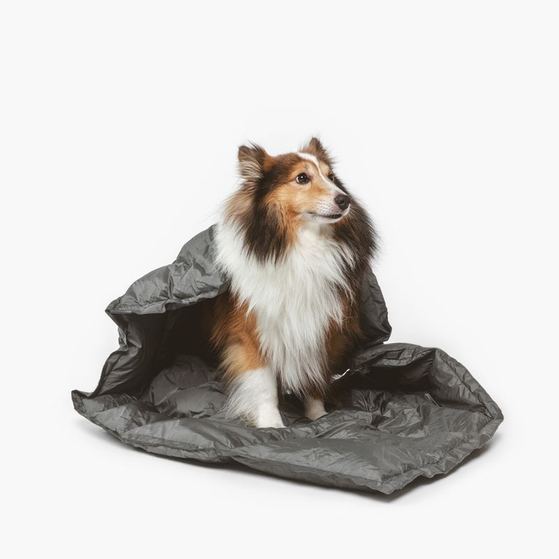 Nomad Tales Spirit Scallion Outdoor Dog Mat 137 x 80 cm (L x W)