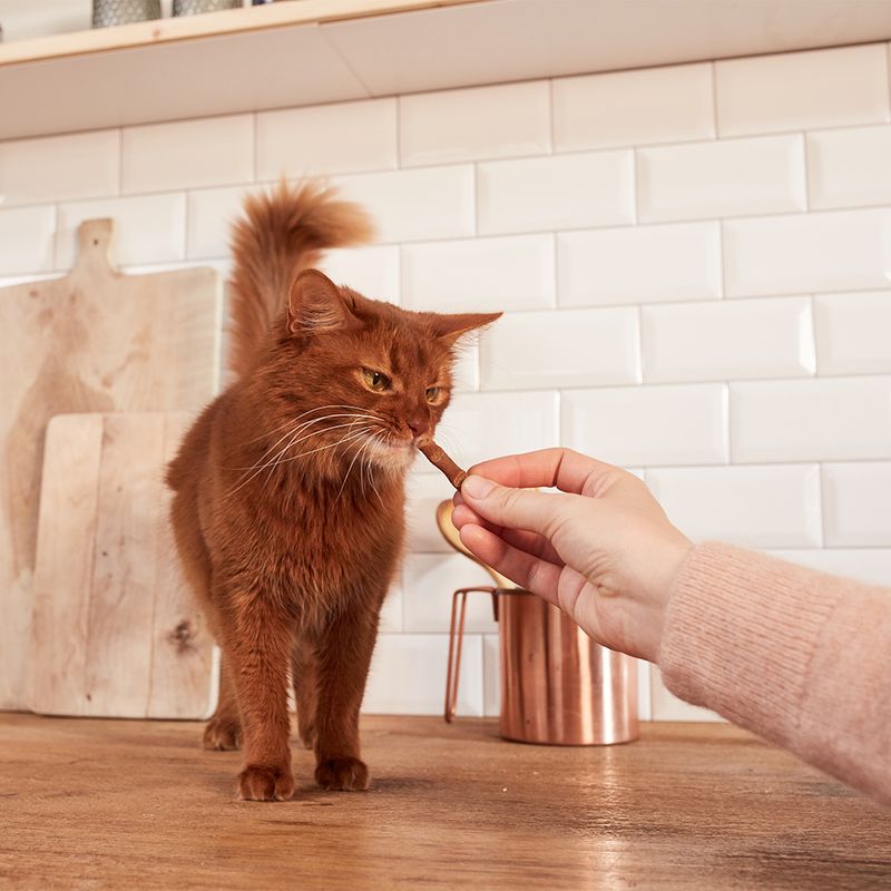 GimCat Sticks Poultry (10 Sticks)