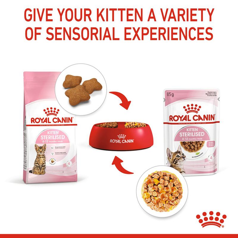 Royal Canin Sterilised Kitten in Jelly 12 x 85g