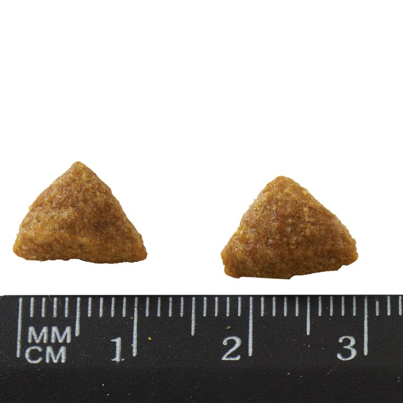 PURINA ONE Adult Chicken Dry Cat Food 3kg