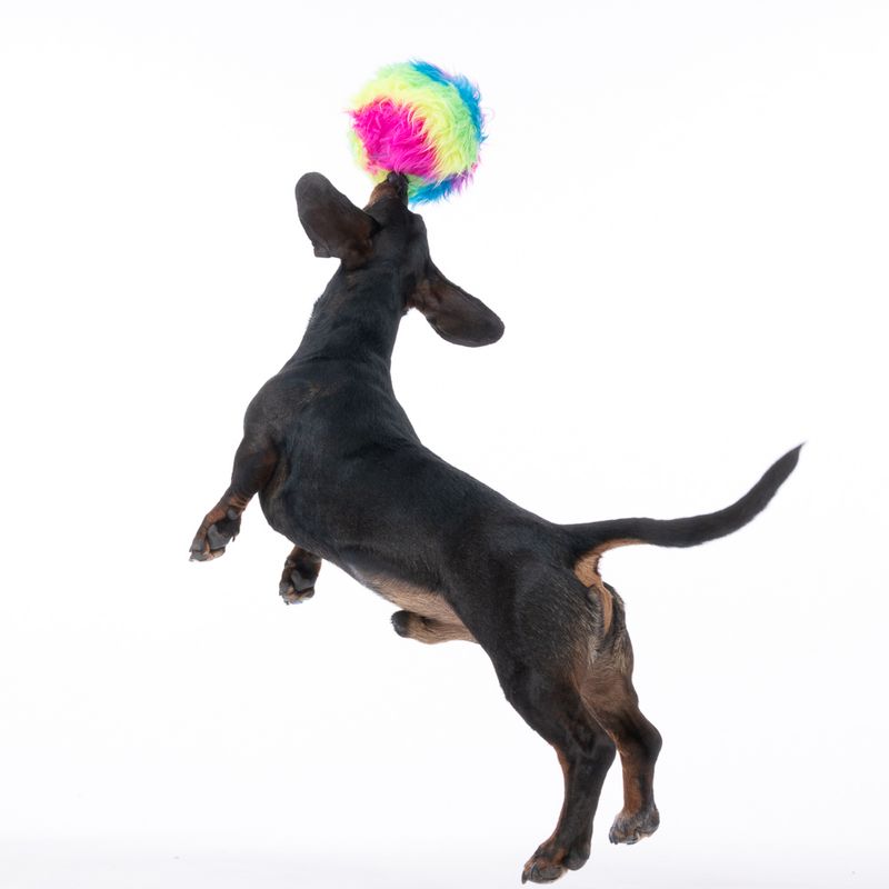 TIAKI Rainbow Squeaky Ball Dog Toy diameter 15cm