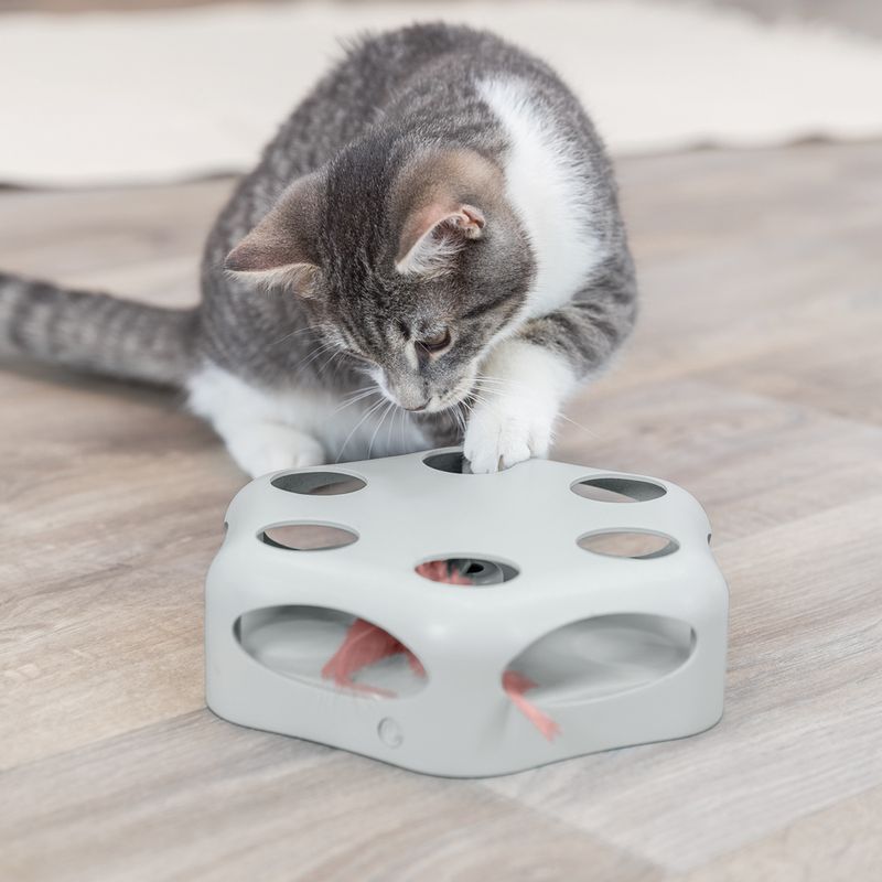 Trixie Turning Feather Cat Toy 1 Toy