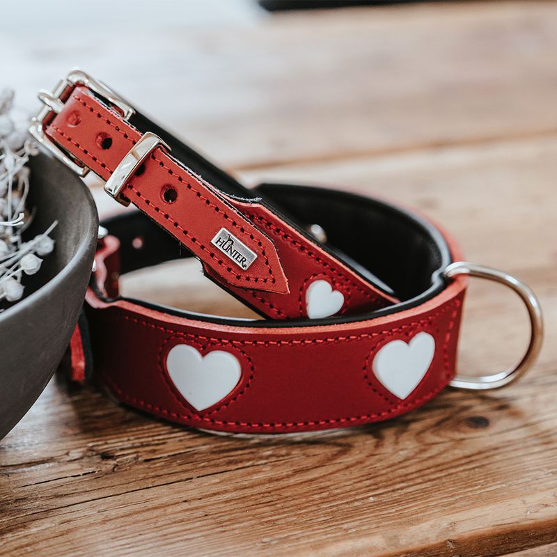 HUNTER Love Collar - Red Size 47: 38 - 44 cm Neck Circumference