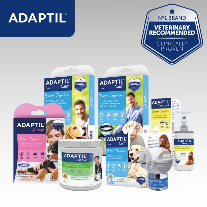ADAPTIL® Calm Collar for Dogs Puppy / Small dogs