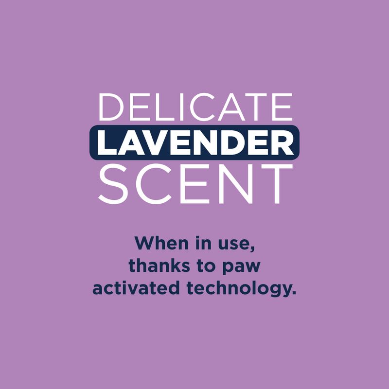 Ever Clean® Lavender Clumping Cat Litter 10l