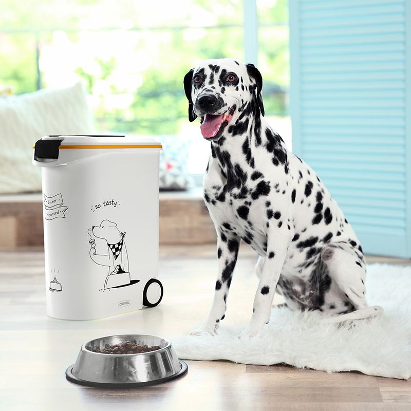 Curver Silhouette Dry Dog Food Container Up to 12kg dry food