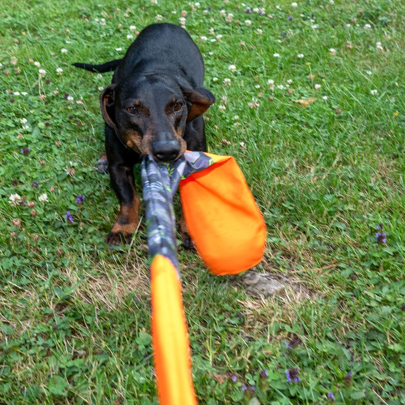 TIAKI Dog Toy Throwing Ball with Catching Tail approx. diameter 8 x (L) 85 cm