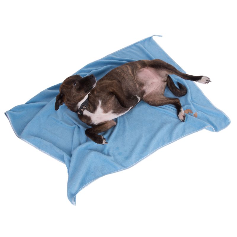 TIAKI Quick-Dry Microfibre Towel Blue: 100 x 70 cm (L x W)