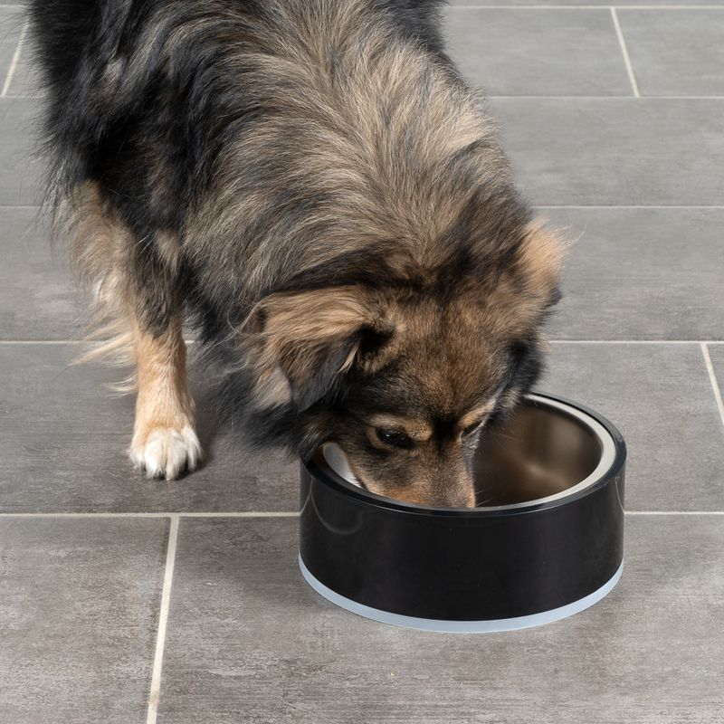 Modern Living Bilbao Dog Bowl 1.2l
