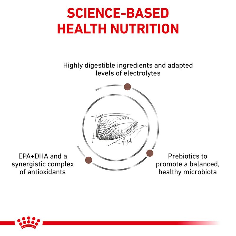 Royal Canin Veterinary Cat - Gastrointestinal 2kg