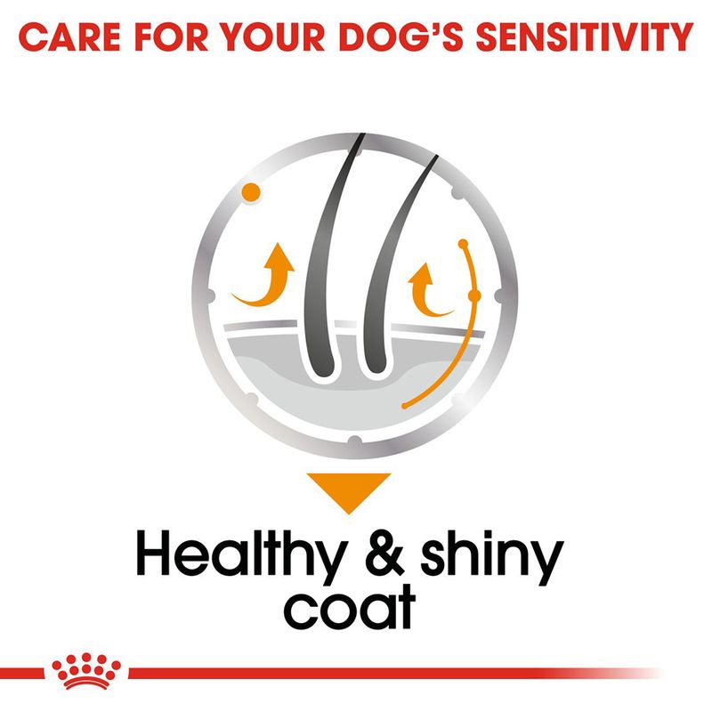 Royal Canin Coat Care Loaf 12 x 85g