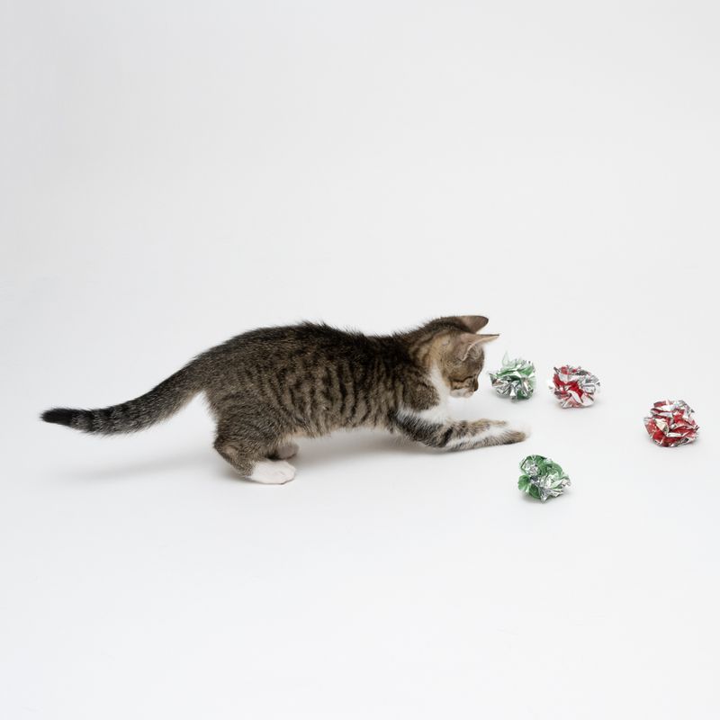 Mesh Crackle Balls Cat Toy Set of 4 Balls