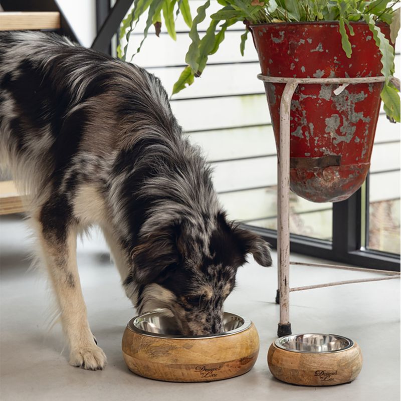 Designed by Lotte Mandira Wooden & Stainless Steel Bowl 350ml