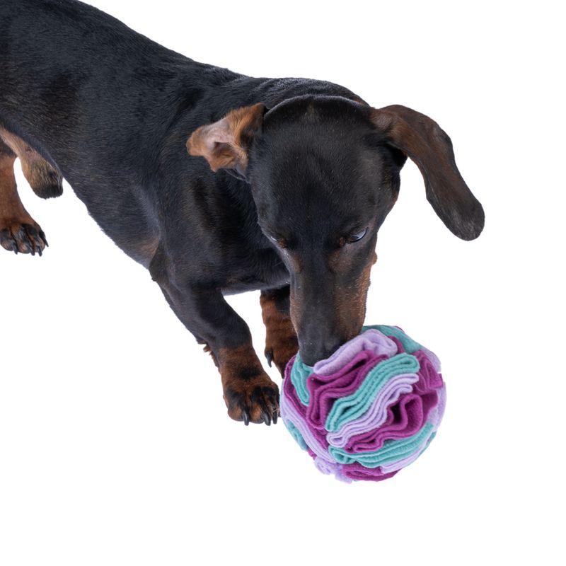 zooplus Basics Sniffer Ball Dog Toy approx. diameter 11cm