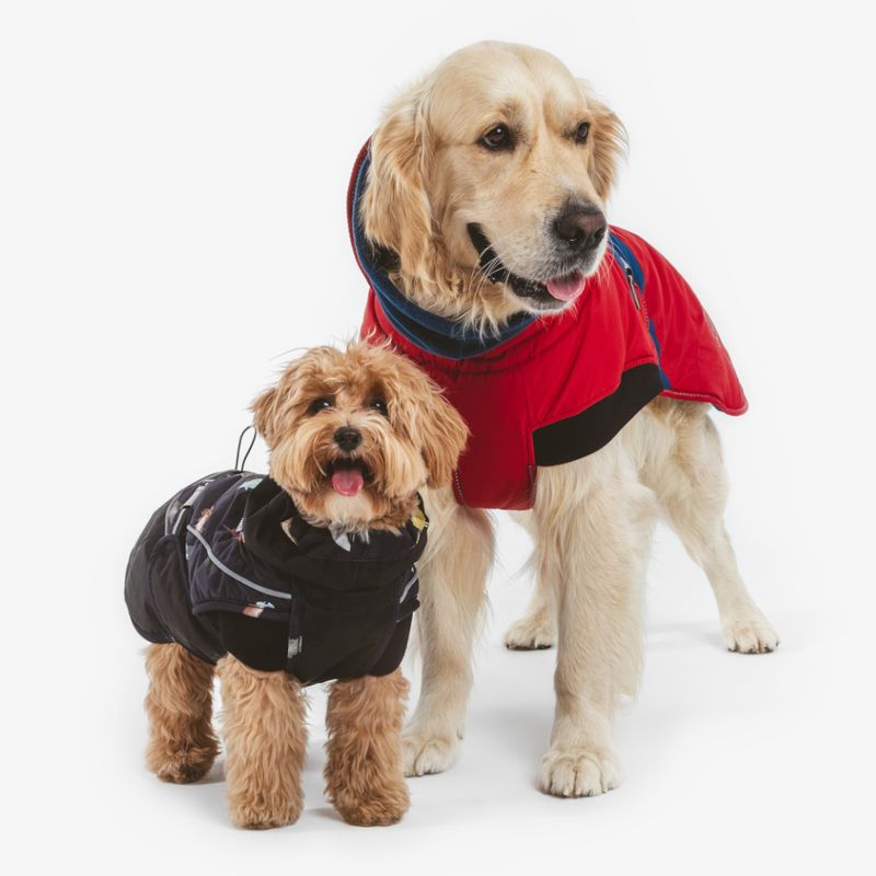 Nomad Tales Bloom Dog Coat - Sunset approx. 35cm Back Length