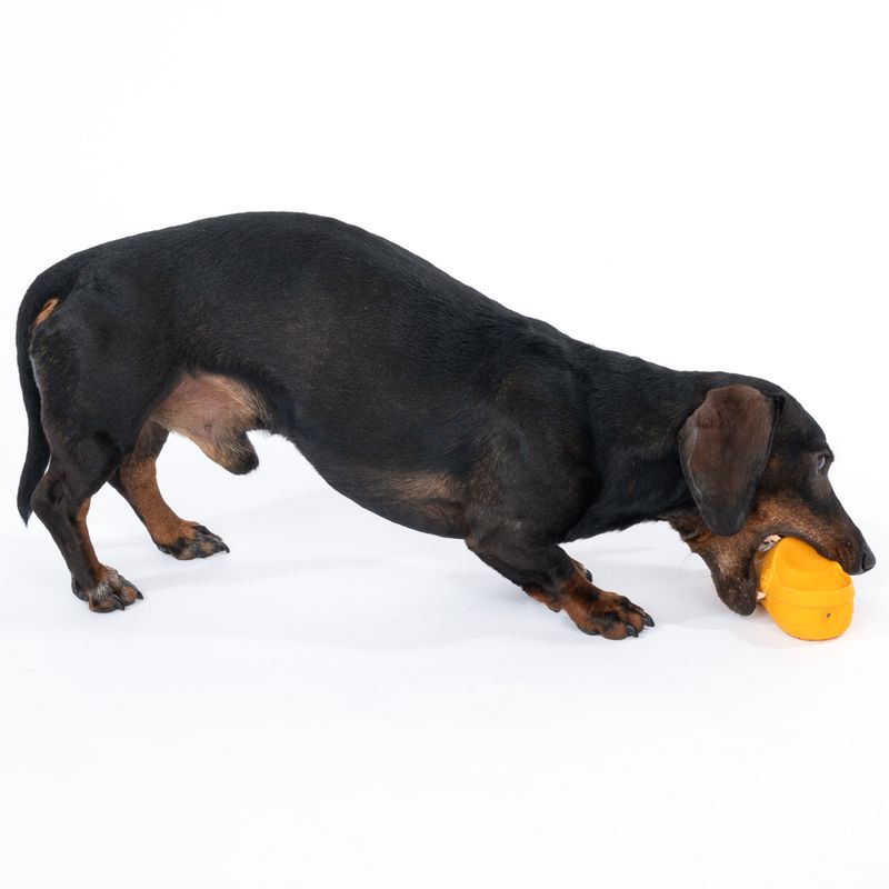 TIAKI Shoe Latex Dog Toy 15 x 6.5 x 6.5 cm (L x W x H)