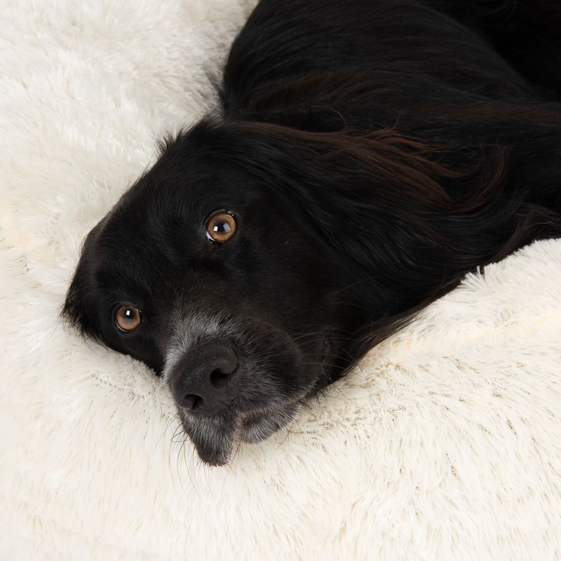 Fluffy Dog Bed Beige 65 x (H) 20cm