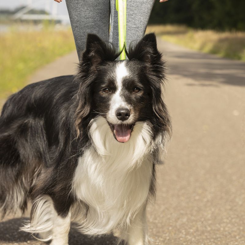 FLAMINGO Jogging Harness with Leash Hip Circumference 80 - 140cm