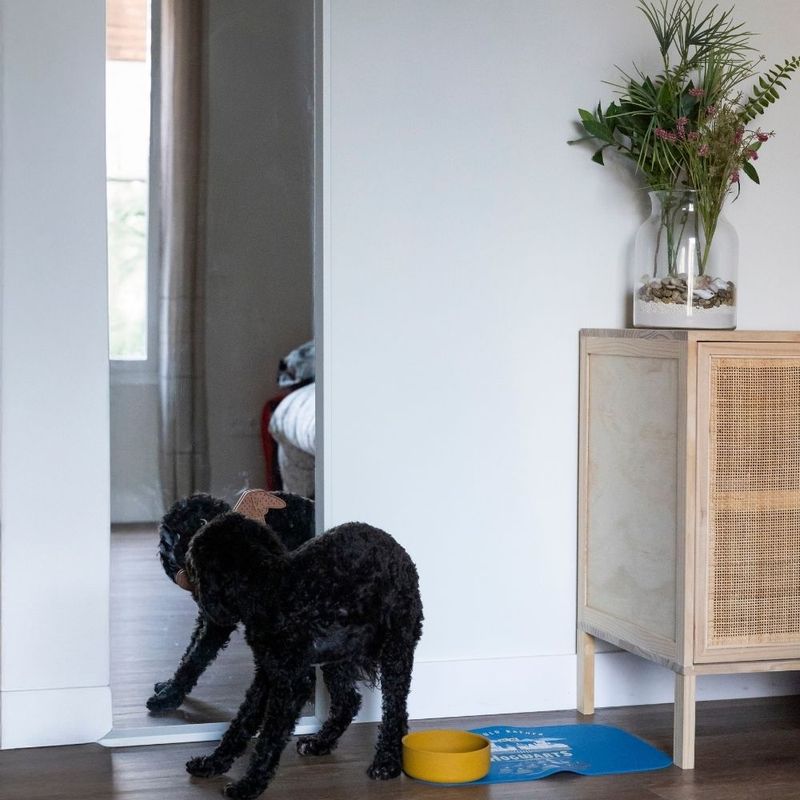 Warner Bros™ Harry Potter Sorting Hat Licking Mat 22 x 18 x 1 cm (L x W x H)