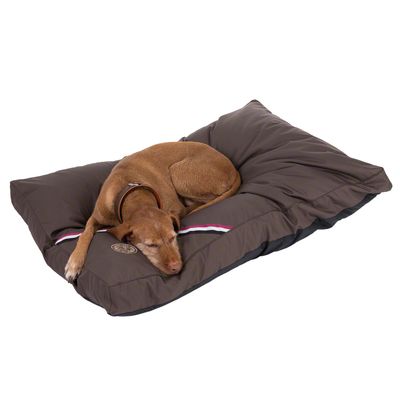Champion Dog Cushion 120 x 80 x 10 cm (L x W x H)