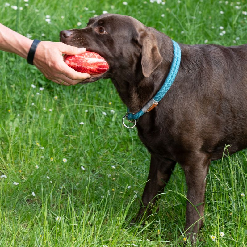TIAKI Steak Dog Toy 1 Toy