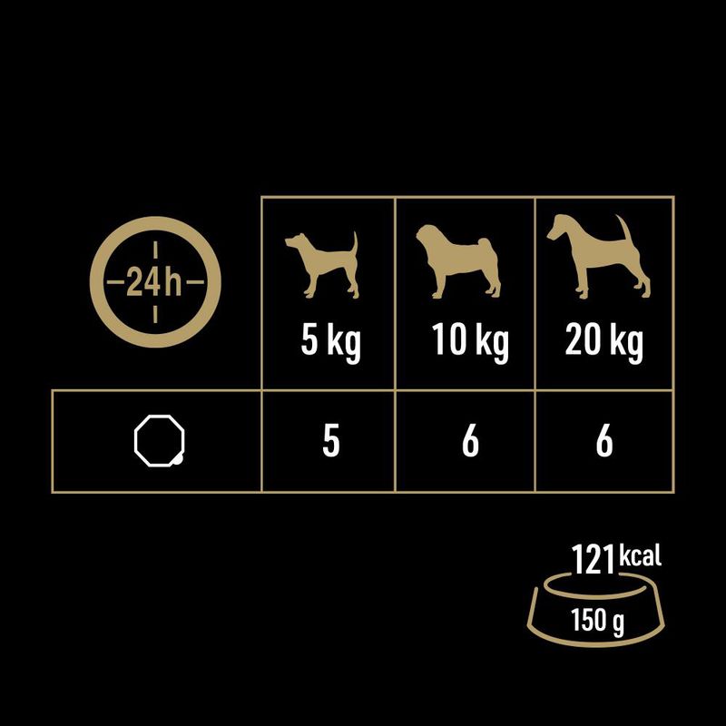 Cesar Junior bowl 28 x 150g With Turkey and Veal