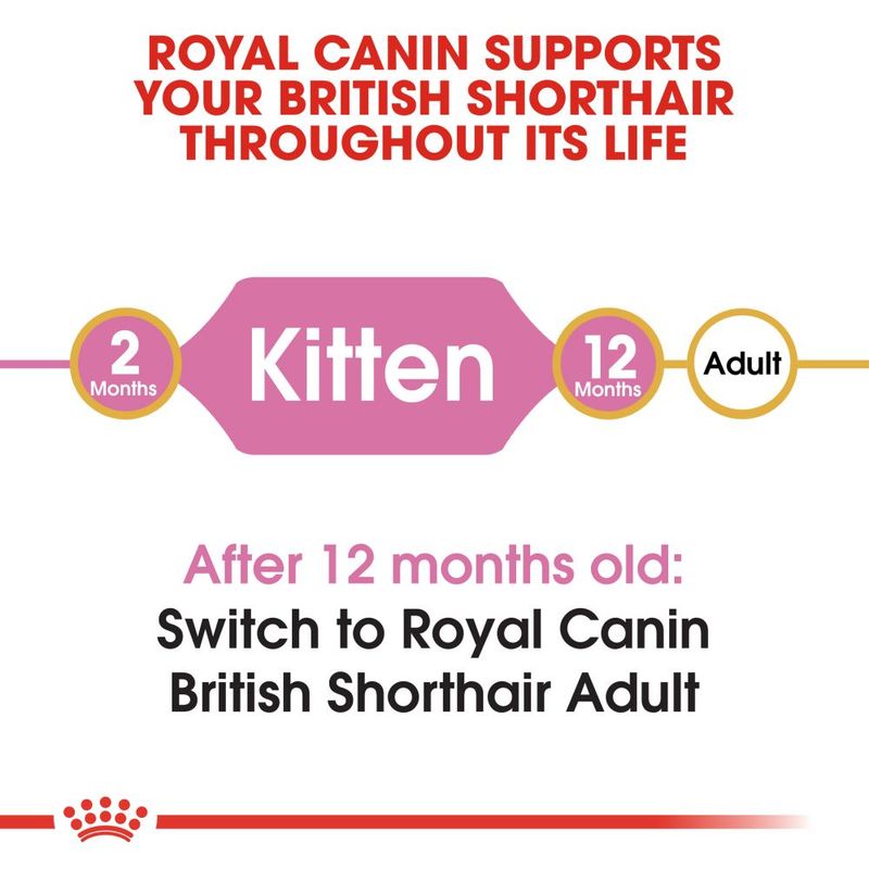 Royal Canin British Shorthair Kitten 2kg
