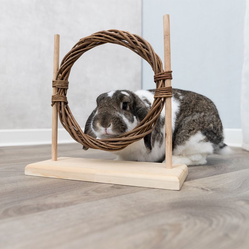 Trixie Agility Set for Rabbits Set of 2