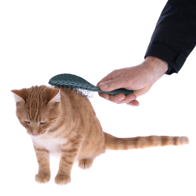 kooa wheat straw detangling brush L 23 x W 7 x H 4 cm