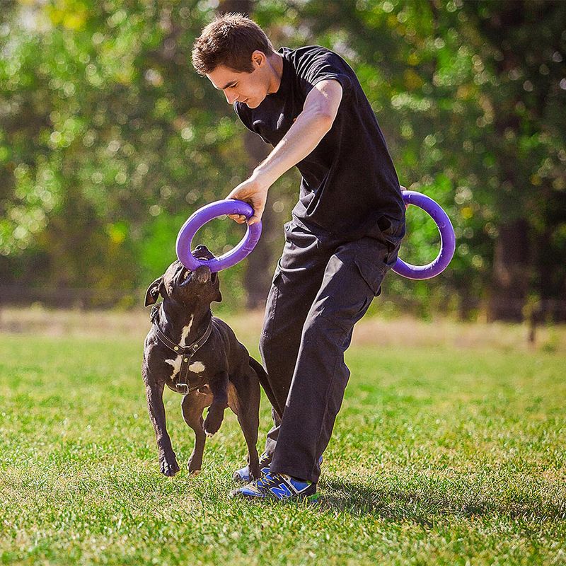 Ferplast Puller Dog Toy Midi: 19cm (Ø)