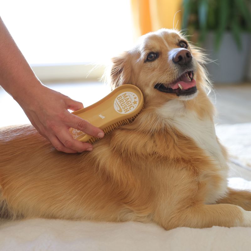 Kerbl MagicBrush Soft Sandstorm for Dogs 16.5 x 6.5 x 3cm (L x W x H)