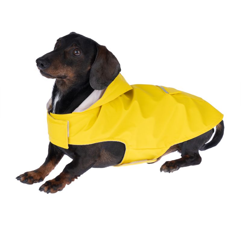 zooplus Basics Raincoat approx. 30cm Back Length