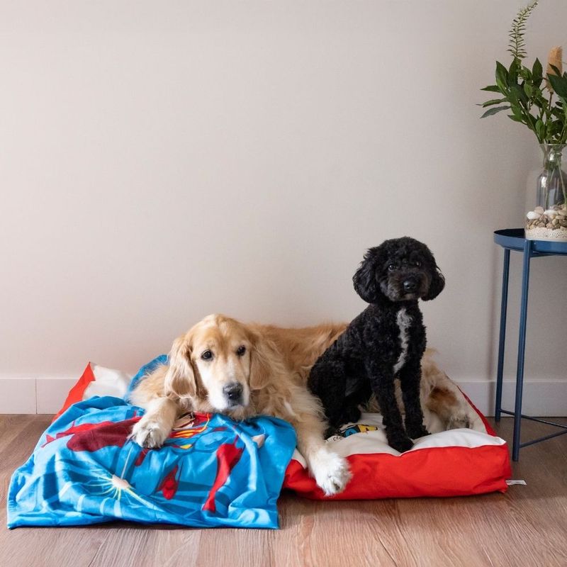 DC Superman Dog Mattress Size S: 80 x 50 x 15 cm (L x W x H)