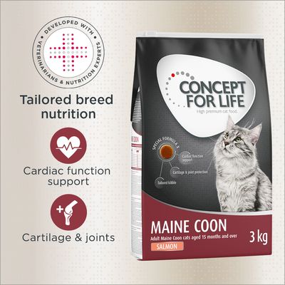 Concept for Life Maine Coon Adult Salmon - Grain-Free 400g