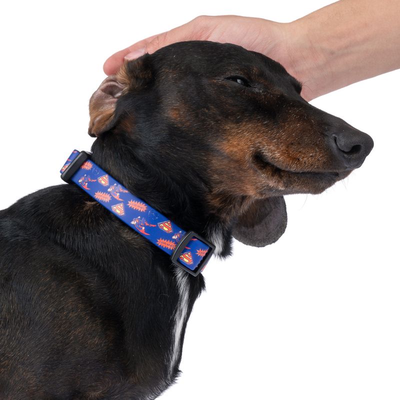 DC Superman Collar - Blue Size S: Neck Circumference 25 - 36 cm, Width 20mm