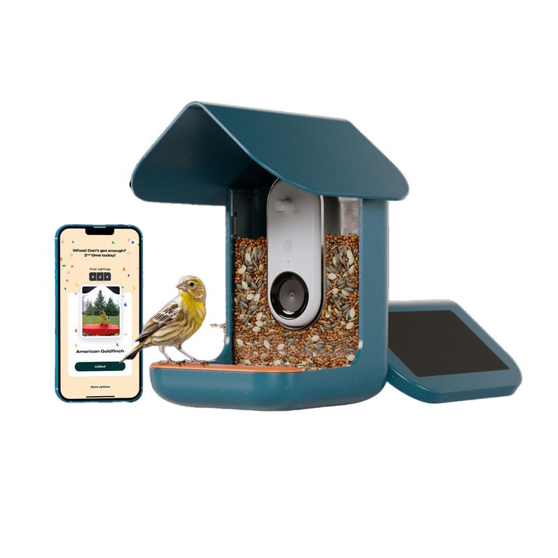 Bird Buddy Smart Bird Feeder with Solar Roof 16 x 17.5 x 23cm (L x W x H)