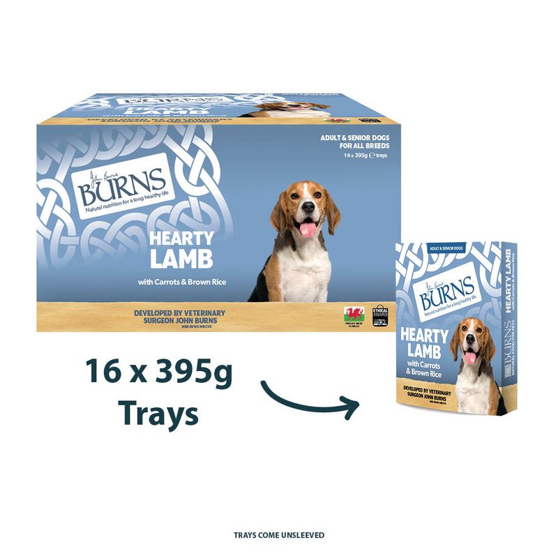 Burns Wet Food for Dogs 16 x 395g Chicken