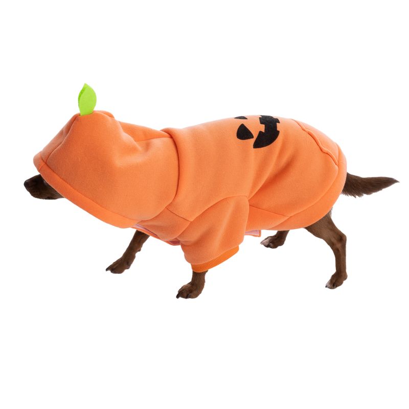 TIAKI Pumpkin Hoodie Size: S