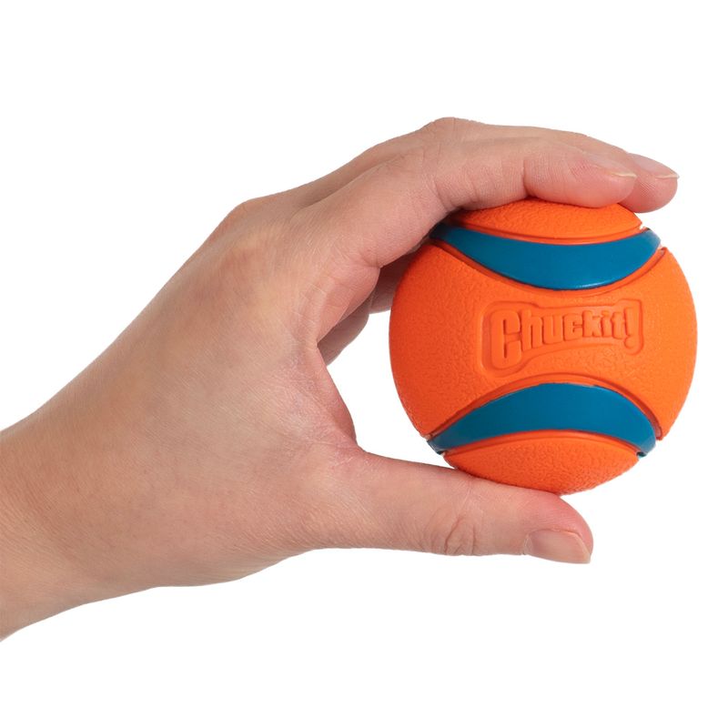 Chuckit! Ultra Ball Size S: 2 Balls, Diameter 5.1cm