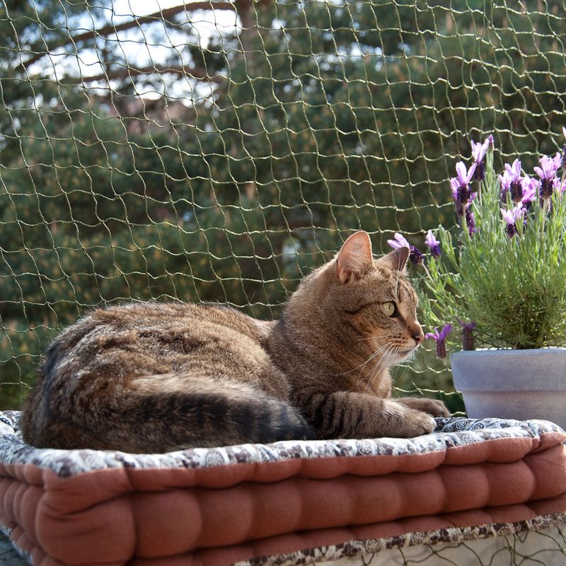 Cat Safety Net - Bite-Resistant & Wire-Reinforced 2 x 3m