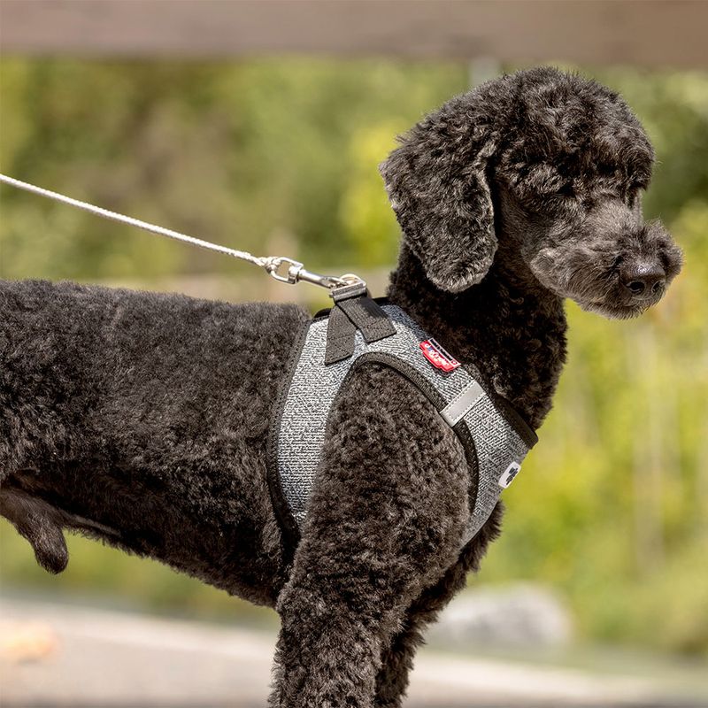 Curli ultra strong pocket leash Size S: 110 cm long