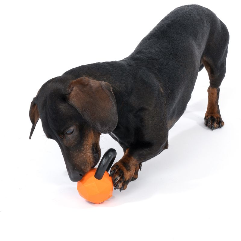 TIAKI Rubber Kettlebell Chew Toy 1 Toy