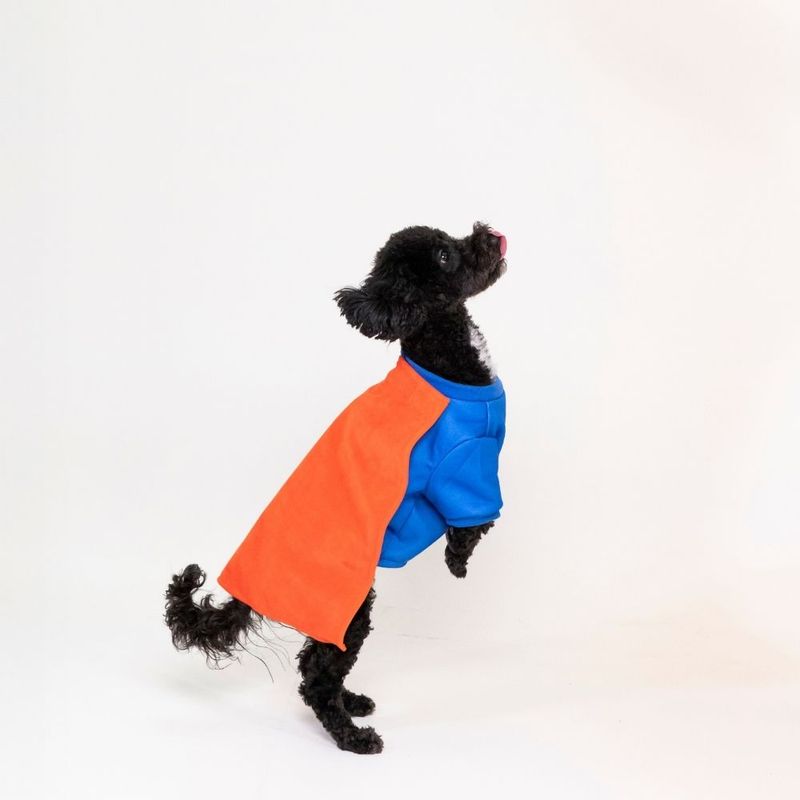 Warner Bros™ DC Superman Dog Costume Size S/M: 35cm Back Length