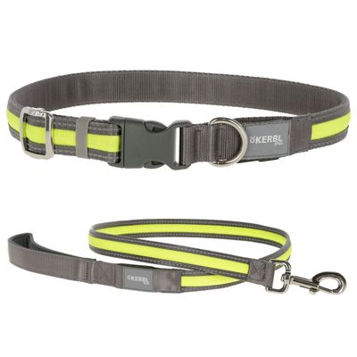 Kerbl Pet Light & Reflex Set Illuminated Collar and Lead Set: Collar Size S/M + Lead 120cm