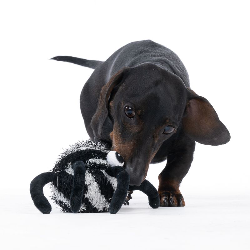 TIAKI Spider Stretch Ball diameter 22cm