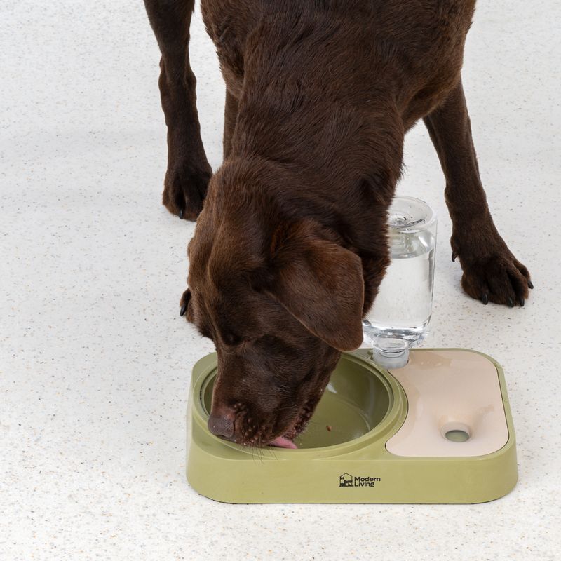 Modern Living SaPa Double Bowl 400ml